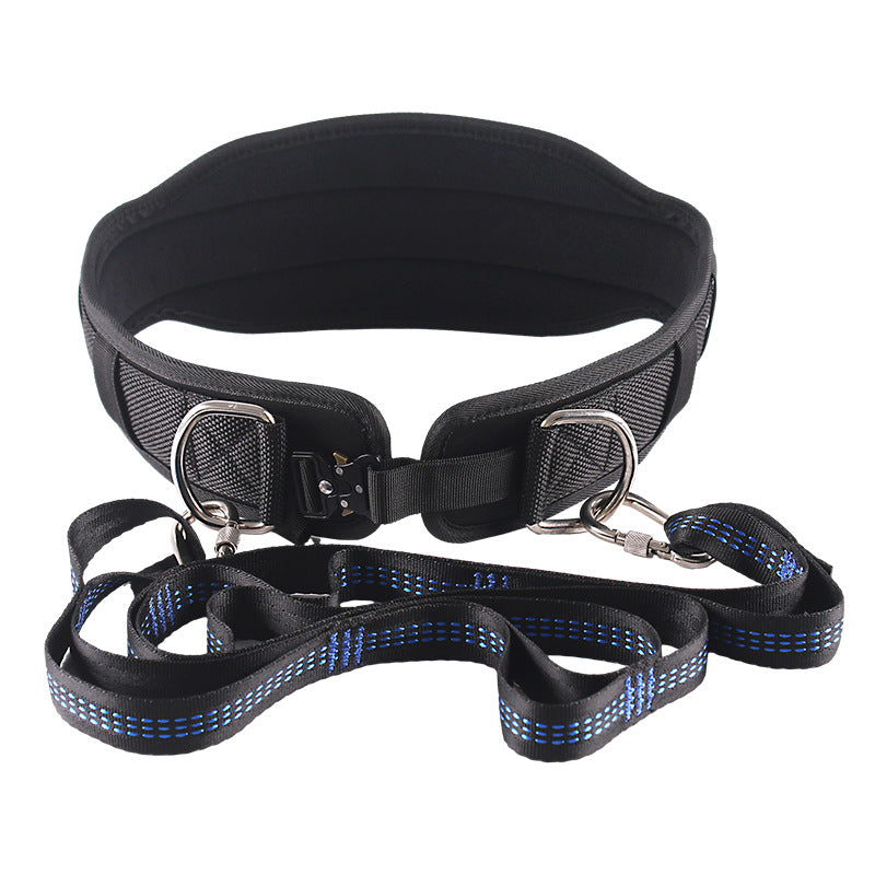 Weighted Pull-Up Trainer Belt - 0814 Blue Chrysanthemum Rope